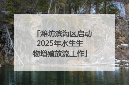 潍坊滨海区启动2025年水生生物增殖放流工作