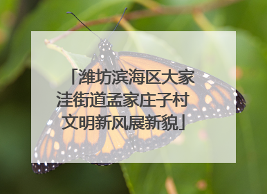 潍坊滨海区大家洼街道孟家庄子村文明新风展新貌