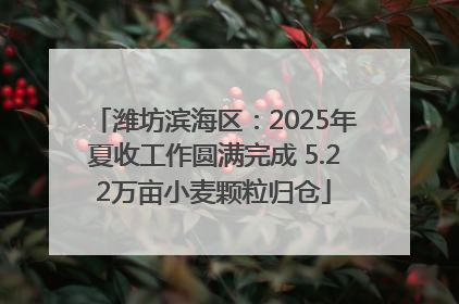 潍坊滨海区：2025年夏收工作圆满完成 5.22万亩小麦颗粒归仓