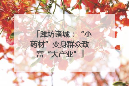 潍坊诸城：“小药材”变身群众致富“大产业”