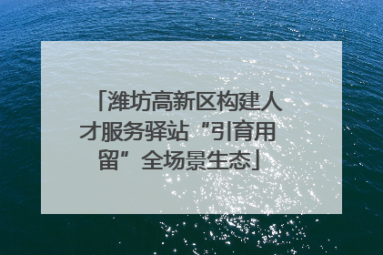 潍坊高新区构建人才服务驿站“引育用留”全场景生态