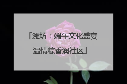 潍坊：端午文化盛宴 温情粽香润社区