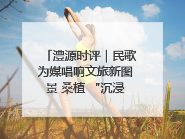澧源时评｜民歌为媒唱响文旅新图景 桑植 “沉浸式” 文旅融合的破圈启示