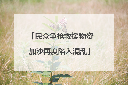 民众争抢救援物资 加沙再度陷入混乱