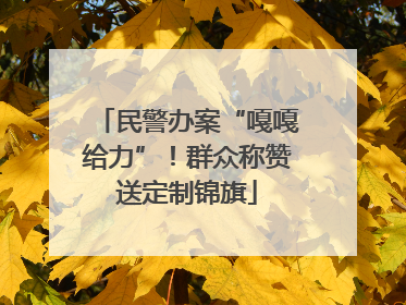 民警办案“嘎嘎给力”！群众称赞送定制锦旗