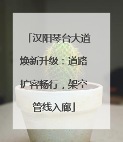 汉阳琴台大道焕新升级：道路扩容畅行，架空管线入廊