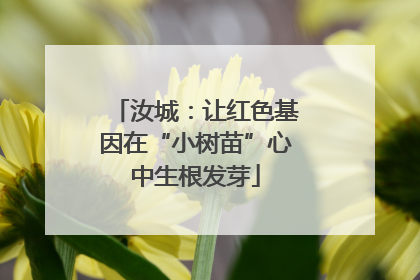 汝城：让红色基因在“小树苗”心中生根发芽