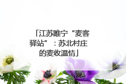 江苏睢宁“麦客驿站”：苏北村庄的麦收温情