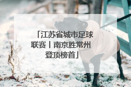 江苏省城市足球联赛丨南京胜常州 登顶榜首