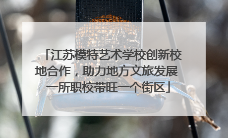 江苏模特艺术学校创新校地合作，助力地方文旅发展 一所职校带旺一个街区