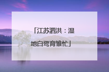 江苏泗洪：湿地白鹭育雏忙