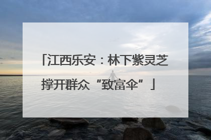 江西乐安：林下紫灵芝撑开群众“致富伞”