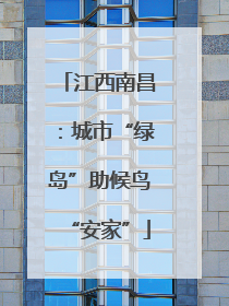 江西南昌：城市“绿岛”助候鸟“安家”