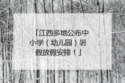 江西多地公布中小学（幼儿园）暑假放假安排！