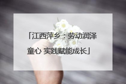 江西萍乡：劳动润泽童心 实践赋能成长