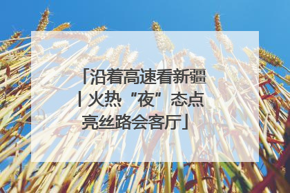 沿着高速看新疆丨火热“夜”态点亮丝路会客厅