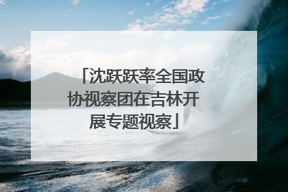 沈跃跃率全国政协视察团在吉林开展专题视察