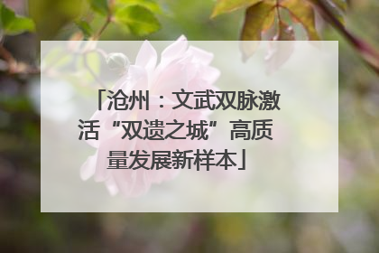 沧州：文武双脉激活“双遗之城”高质量发展新样本