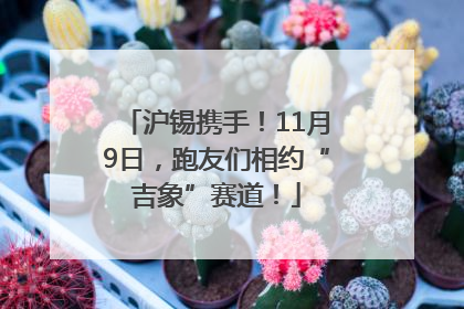 沪锡携手！11月9日，跑友们相约“吉象”赛道！