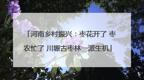河南乡村振兴：枣花开了 枣农忙了 川塬古枣林一派生机