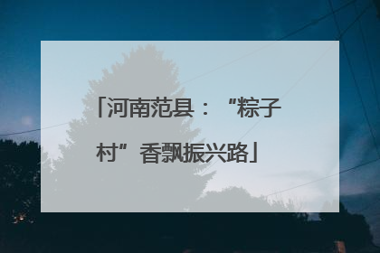 河南范县：“粽子村”香飘振兴路