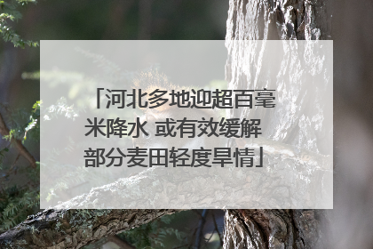 河北多地迎超百毫米降水 或有效缓解部分麦田轻度旱情