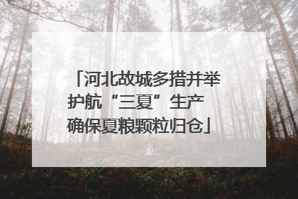 河北故城多措并举护航“三夏”生产 确保夏粮颗粒归仓