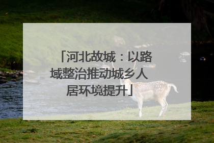 河北故城：以路域整治推动城乡人居环境提升