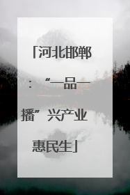 河北邯郸：“一品一播”兴产业惠民生