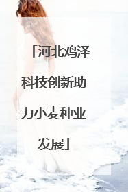 河北鸡泽科技创新助力小麦种业发展