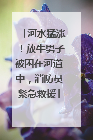 河水猛涨！放牛男子被困在河道中，消防员紧急救援