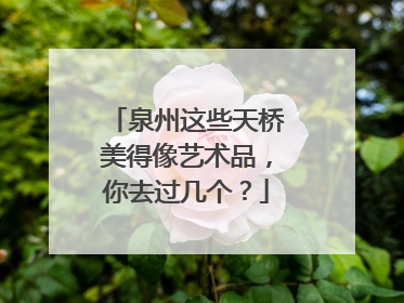 泉州这些天桥美得像艺术品，你去过几个？
