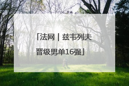 法网｜兹韦列夫晋级男单16强