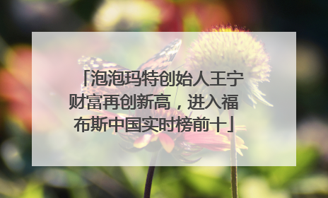 泡泡玛特创始人王宁财富再创新高，进入福布斯中国实时榜前十