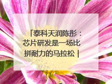 泰科天润陈彤：芯片研发是一场比拼耐力的马拉松｜湘商，向上⑤