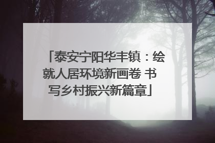泰安宁阳华丰镇：绘就人居环境新画卷 书写乡村振兴新篇章