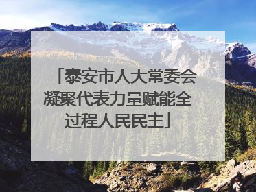 泰安市人大常委会凝聚代表力量赋能全过程人民民主