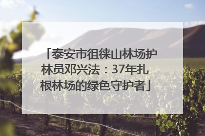 泰安市徂徕山林场护林员邓兴法：37年扎根林场的绿色守护者