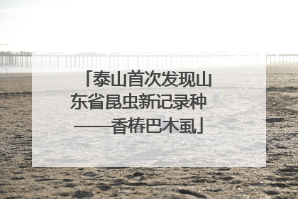 泰山首次发现山东省昆虫新记录种——香椿巴木虱