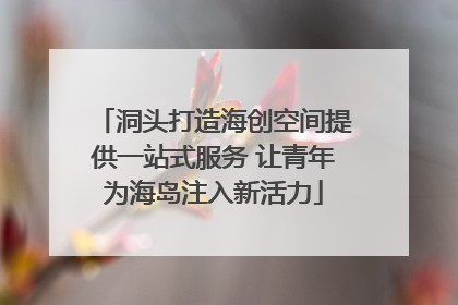 洞头打造海创空间提供一站式服务 让青年为海岛注入新活力