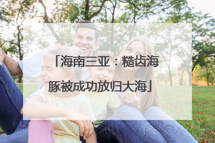 海南三亚：糙齿海豚被成功放归大海
