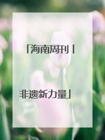 海南周刊丨非遗新力量