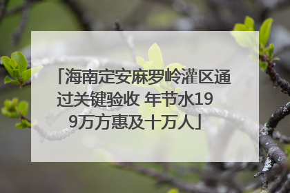 海南定安麻罗岭灌区通过关键验收 年节水199万方惠及十万人