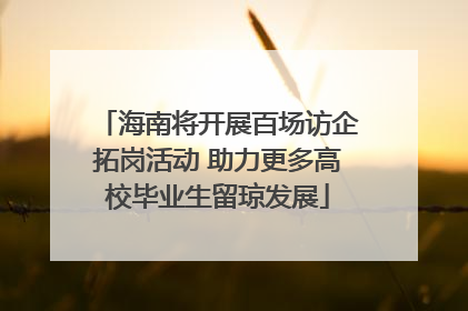 海南将开展百场访企拓岗活动 助力更多高校毕业生留琼发展