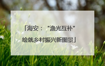 海安：“渔光互补” 绘就乡村振兴新图景