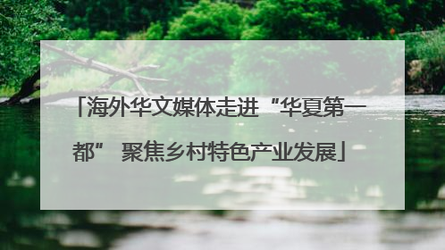 海外华文媒体走进“华夏第一都” 聚焦乡村特色产业发展