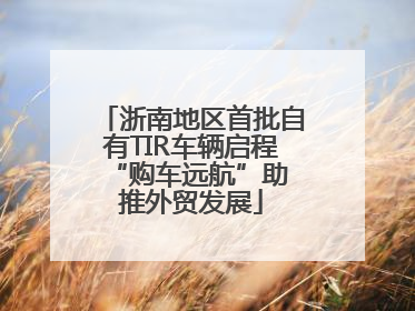 浙南地区首批自有TIR车辆启程 “购车远航”助推外贸发展