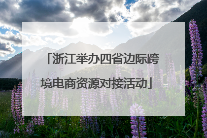 浙江举办四省边际跨境电商资源对接活动
