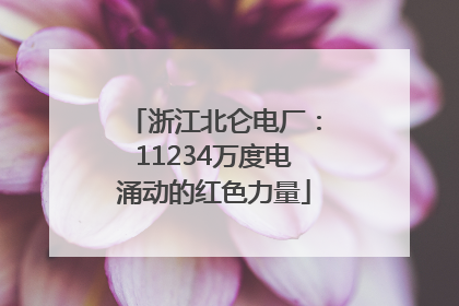 浙江北仑电厂：11234万度电涌动的红色力量