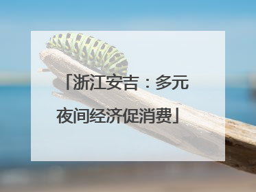 浙江安吉：多元夜间经济促消费